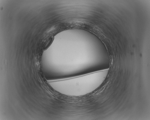 X0000063510771200601201050