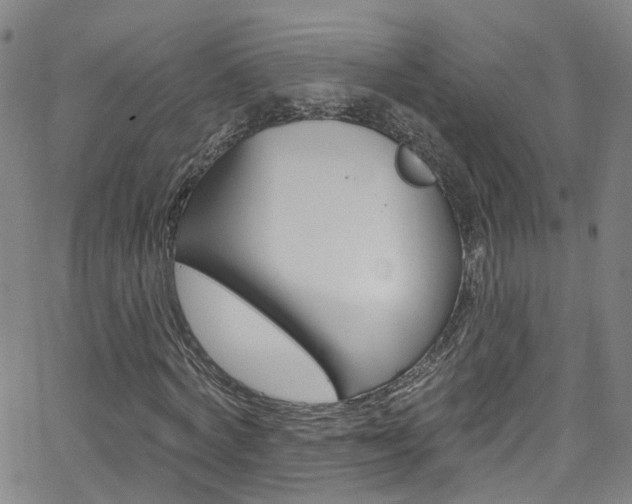 X0000063510772200601201050