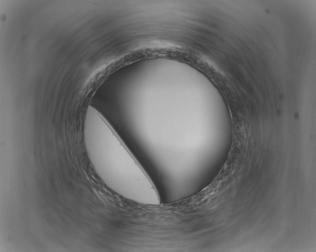 X0000063510775200601201050