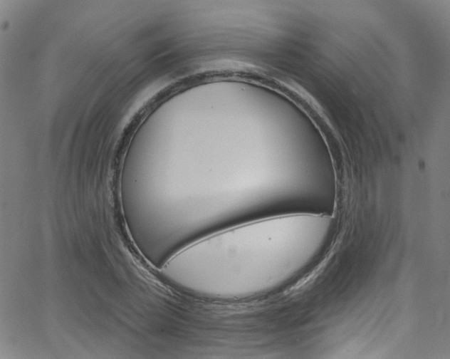 X0000063510783200601201050