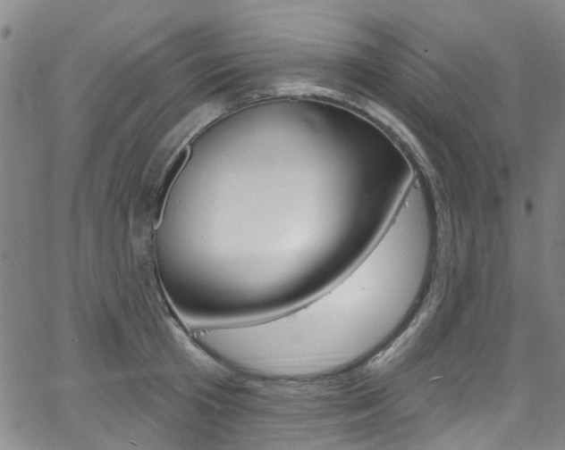 X0000063510801200601201050