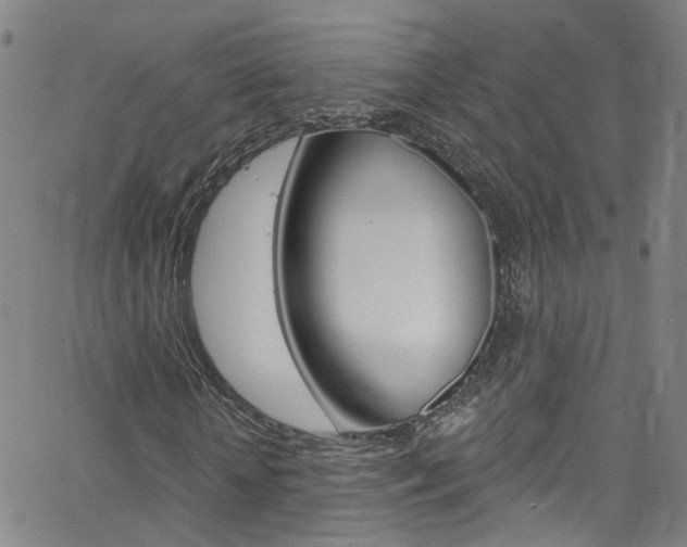 X0000063510818200601201049