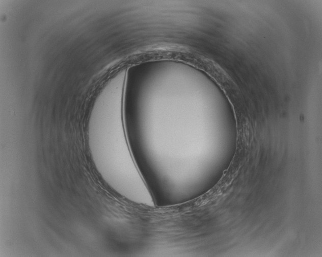X0000063510821200601201049