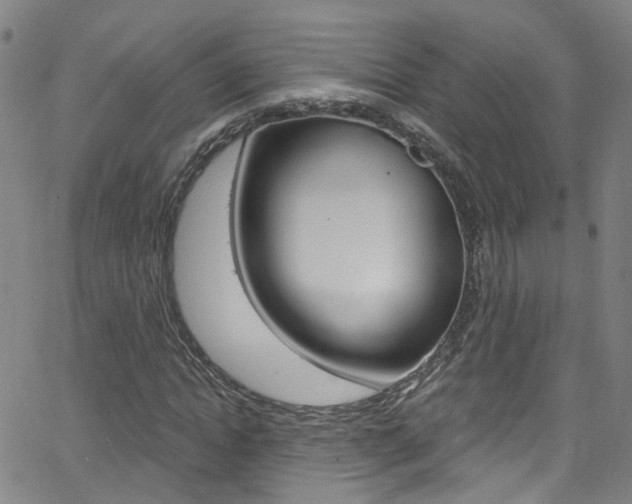 X0000063510822200601201049