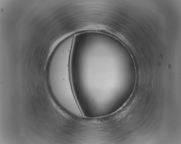 X0000063510838200601201049