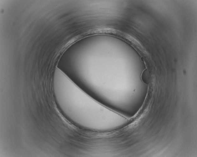 X0000063510841200601201049