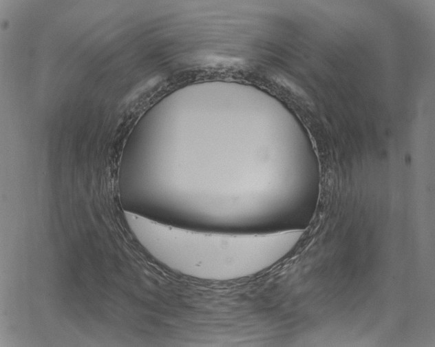 X0000063510869200601201049