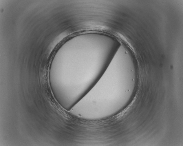 X0000063510875200601201049