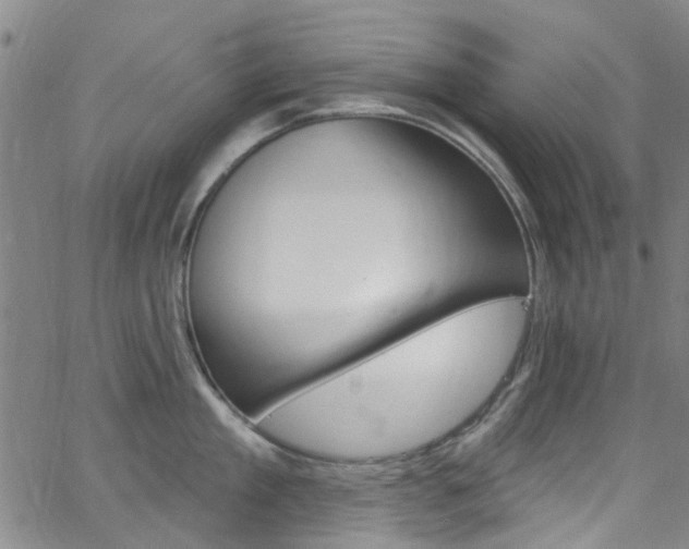 X0000063510909200601201048