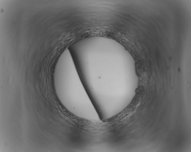 X0000063510913200601201047