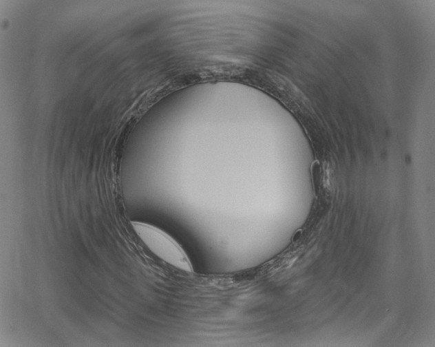 X0000063510915200601201047