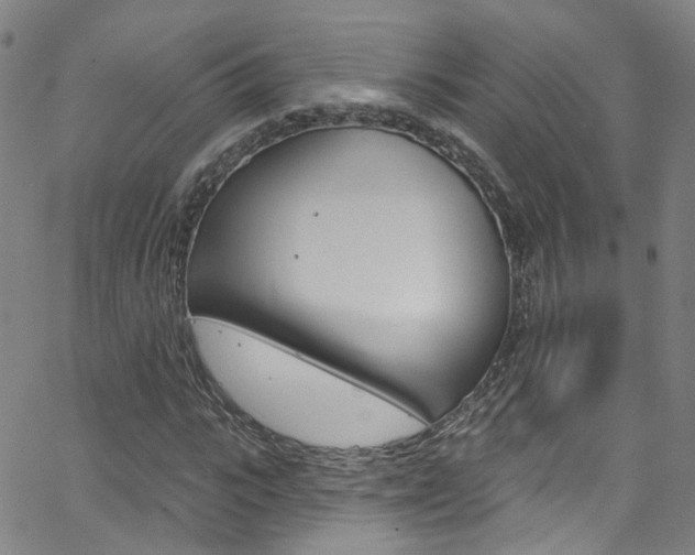 X0000063510919200601201047