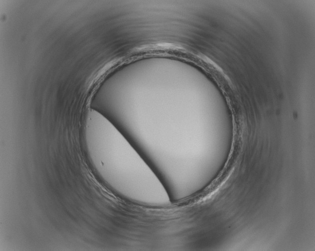 X0000063510921200601201047
