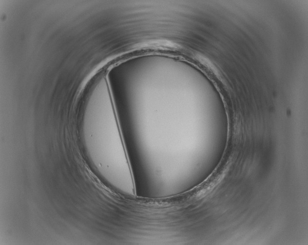 X0000063510923200601201047