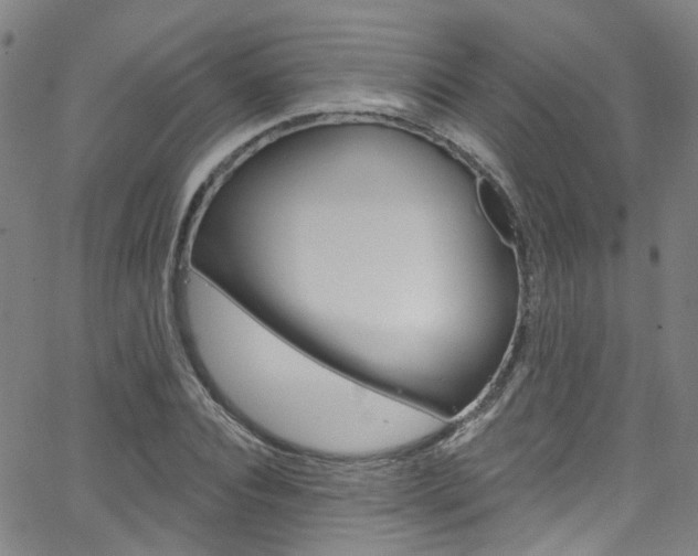 X0000063510928200601201048