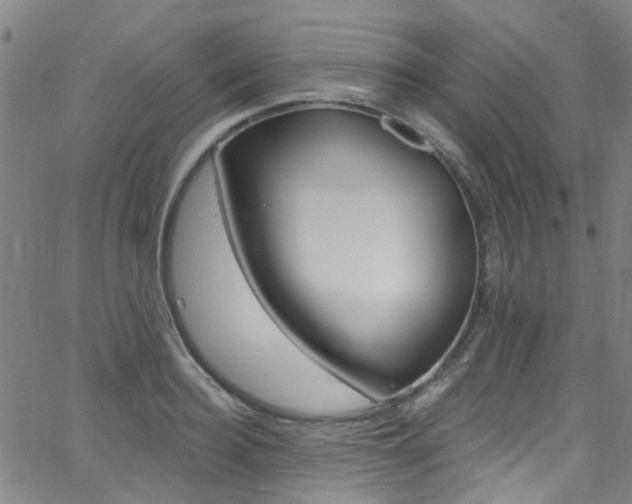 X0000063510940200601201048