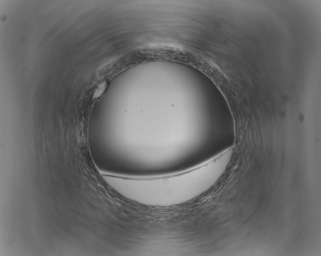 X0000063510965200601201047