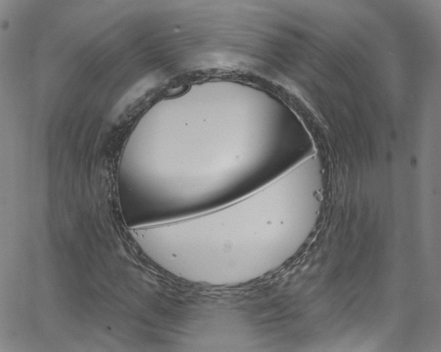 X0000063510967200601201047