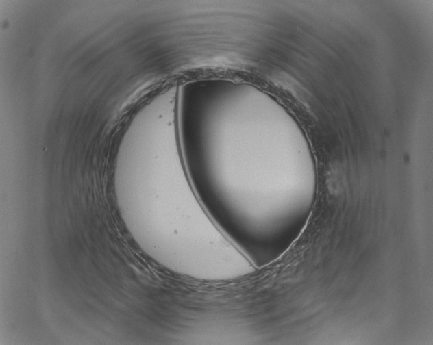 X0000063510968200601201047