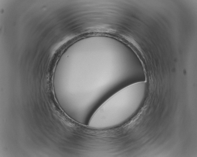 X0000063510971200601201047