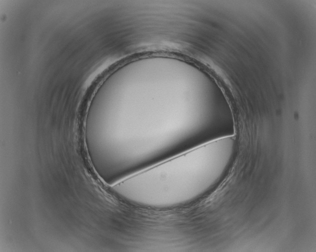 X0000063510975200601201047