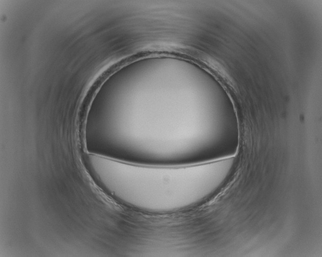 X0000063510976200601201047