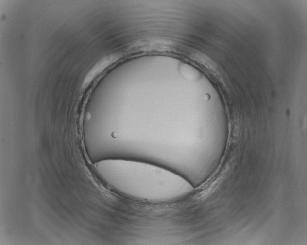 X0000063510978200601201047