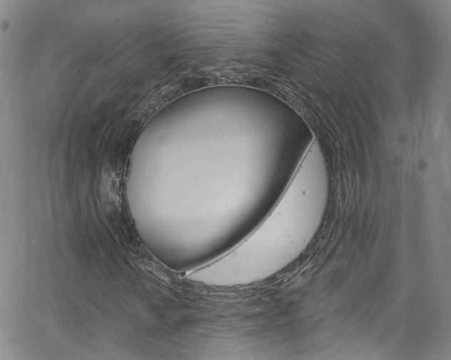 X0000063511010200601201046