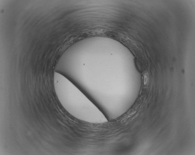 X0000063511011200601201046