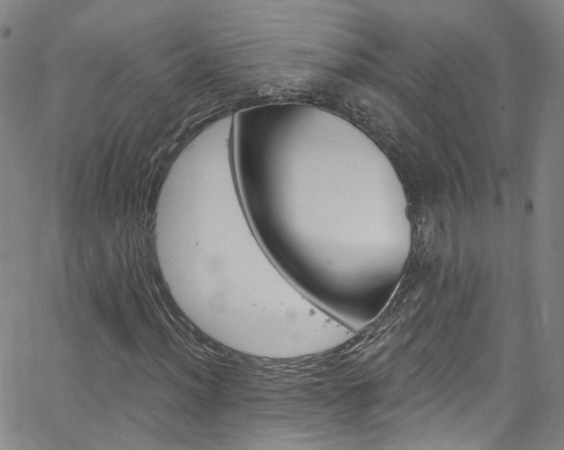 X0000063511012200601201046