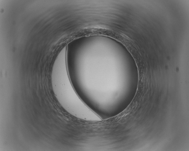 X0000063511014200601201046