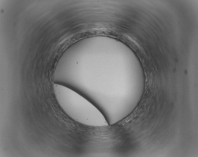 X0000063511015200601201046