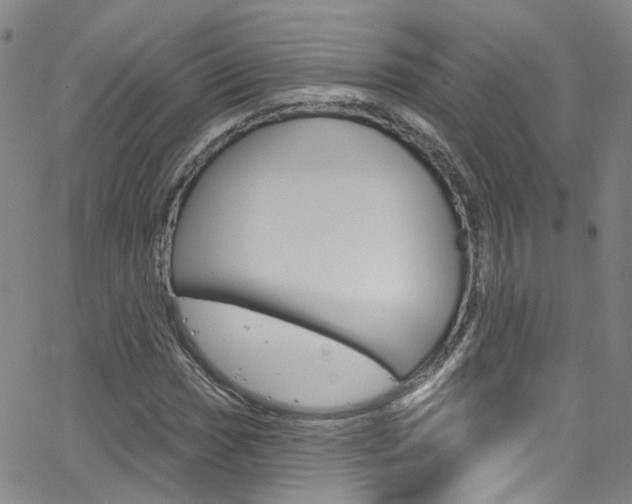 X0000063511017200601201046