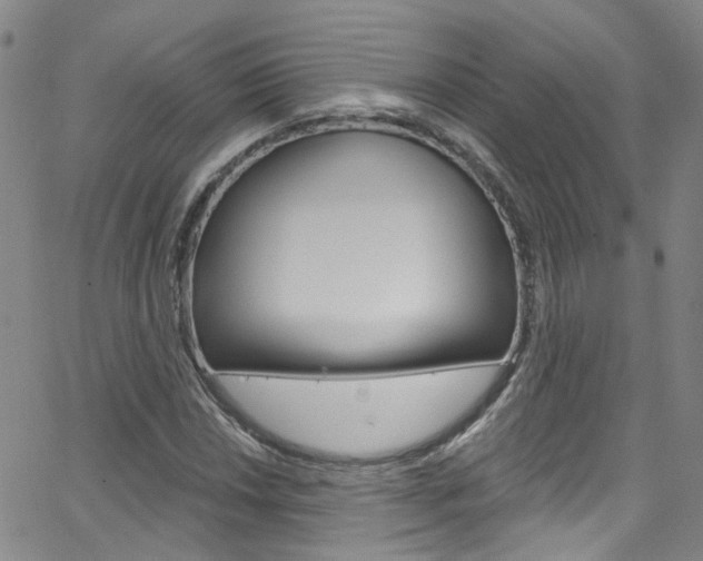 X0000063511018200601201046