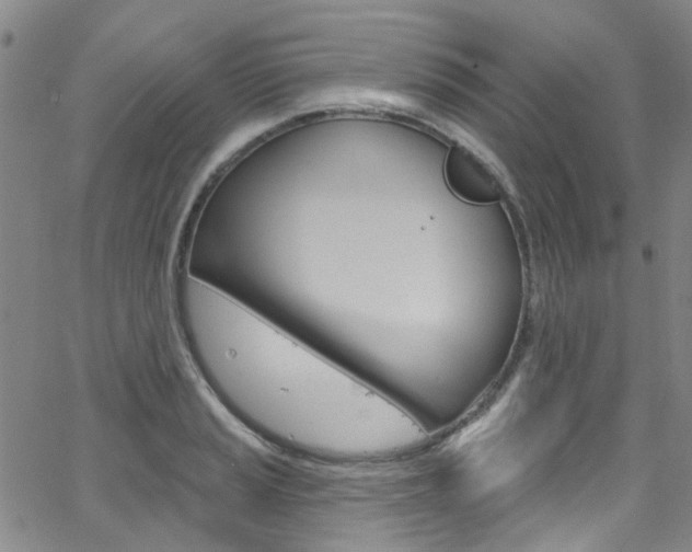 X0000063511037200601201046