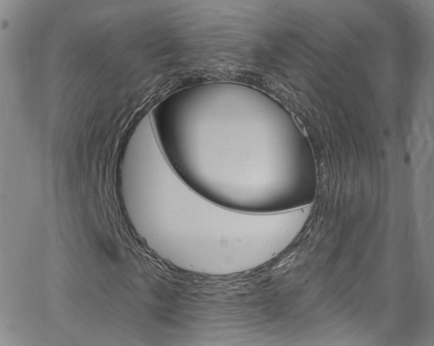 X0000063511057200601201046