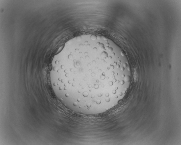 X0000063511059200601201046
