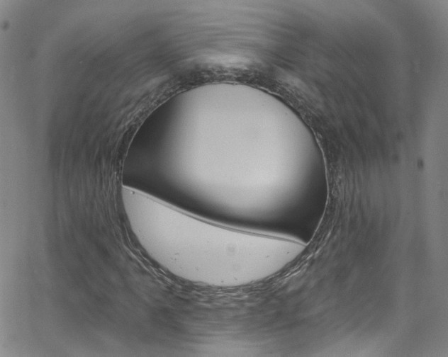 X0000063511061200601201046