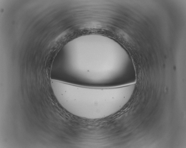 X0000063511062200601201046