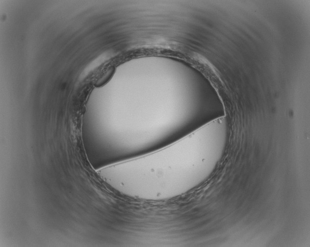 X0000063511064200601201046