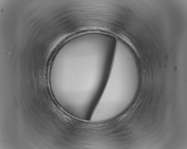 X0000063511068200601201046