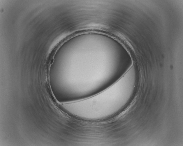 X0000063511069200601201046