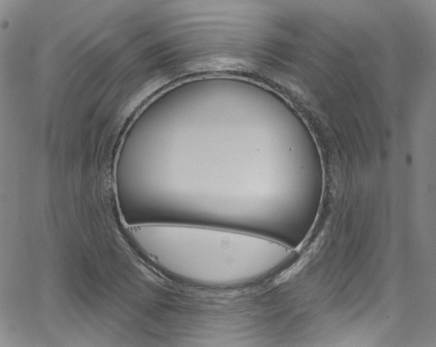 X0000063511073200601201045