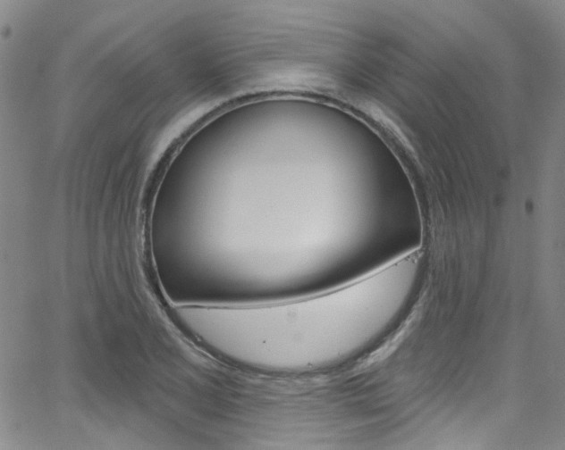 X0000063511077200601201045
