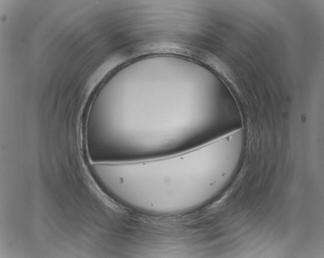 X0000063511082200601201045