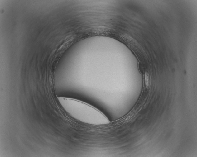 X0000063511107200601201044