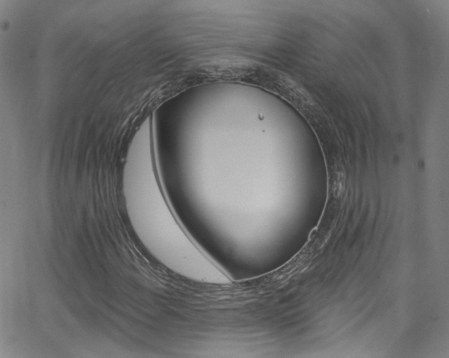 X0000063511108200601201044