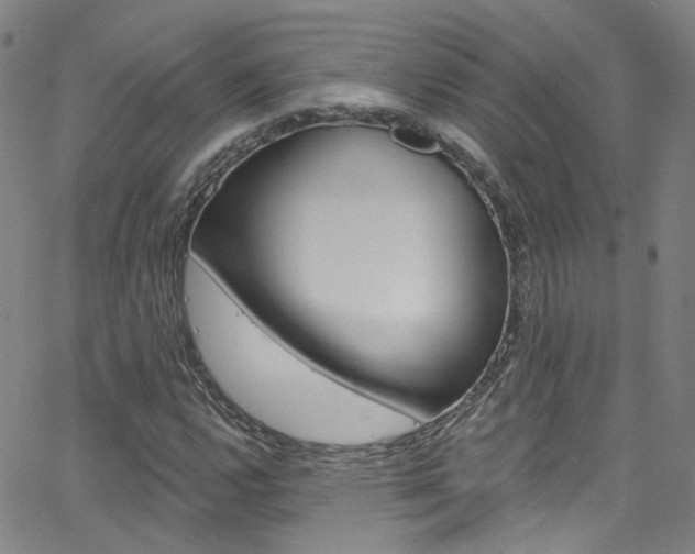 X0000063511112200601201044