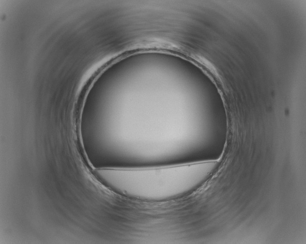 X0000063511120200601201044
