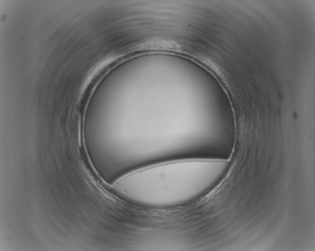 X0000063511123200601201044
